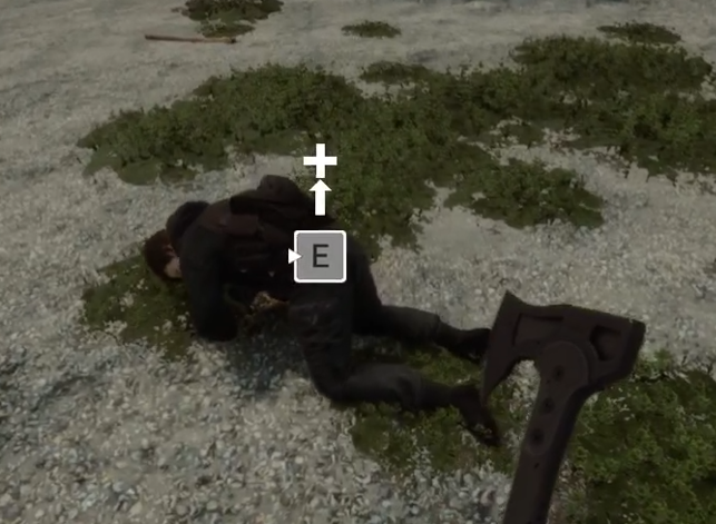 Immersive Companion Injuries (Beta) - Image 1